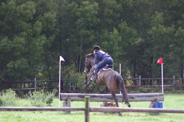 oakhill-equestrian3